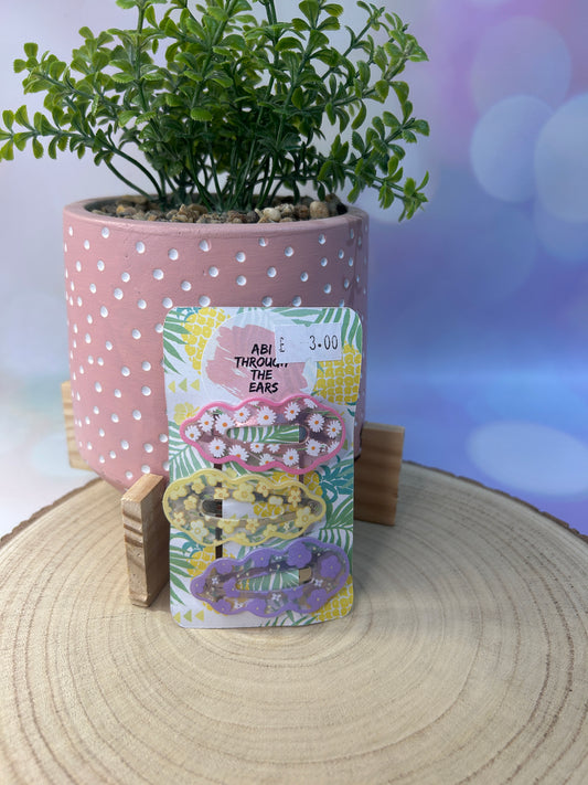 Trio of Daisy Slides