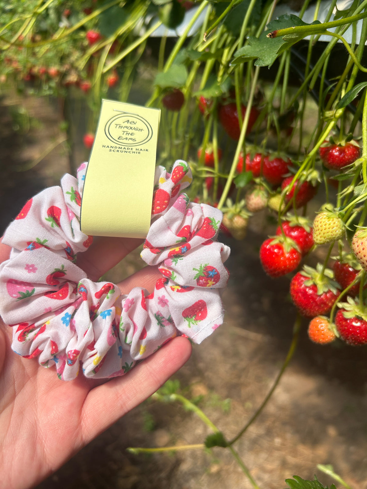 Why you should ditch the hair elastic and switch up to scrunchies!