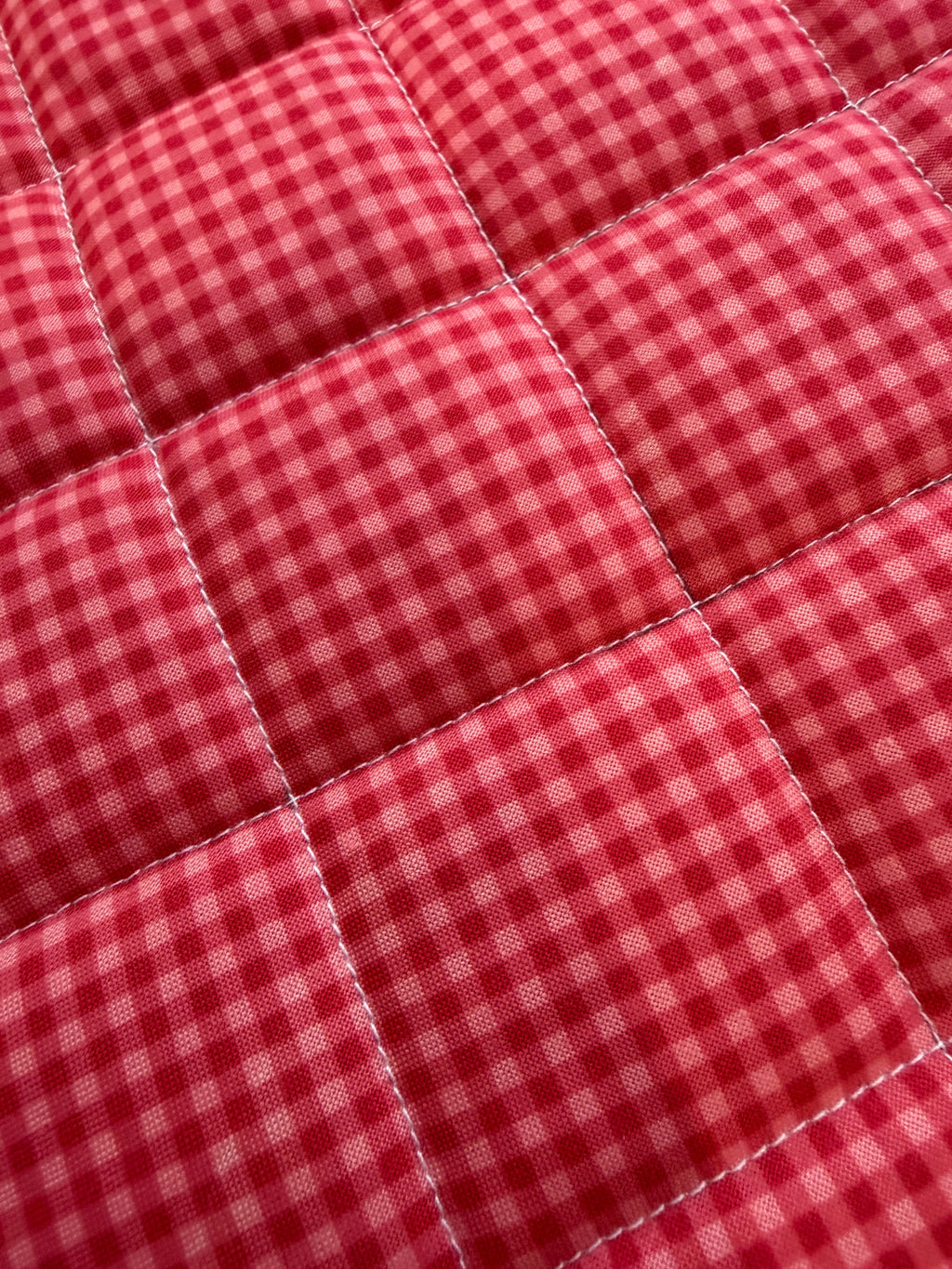 Strawberry Gingham Large Book Sleeve