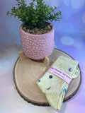 Yellow Space Socks
