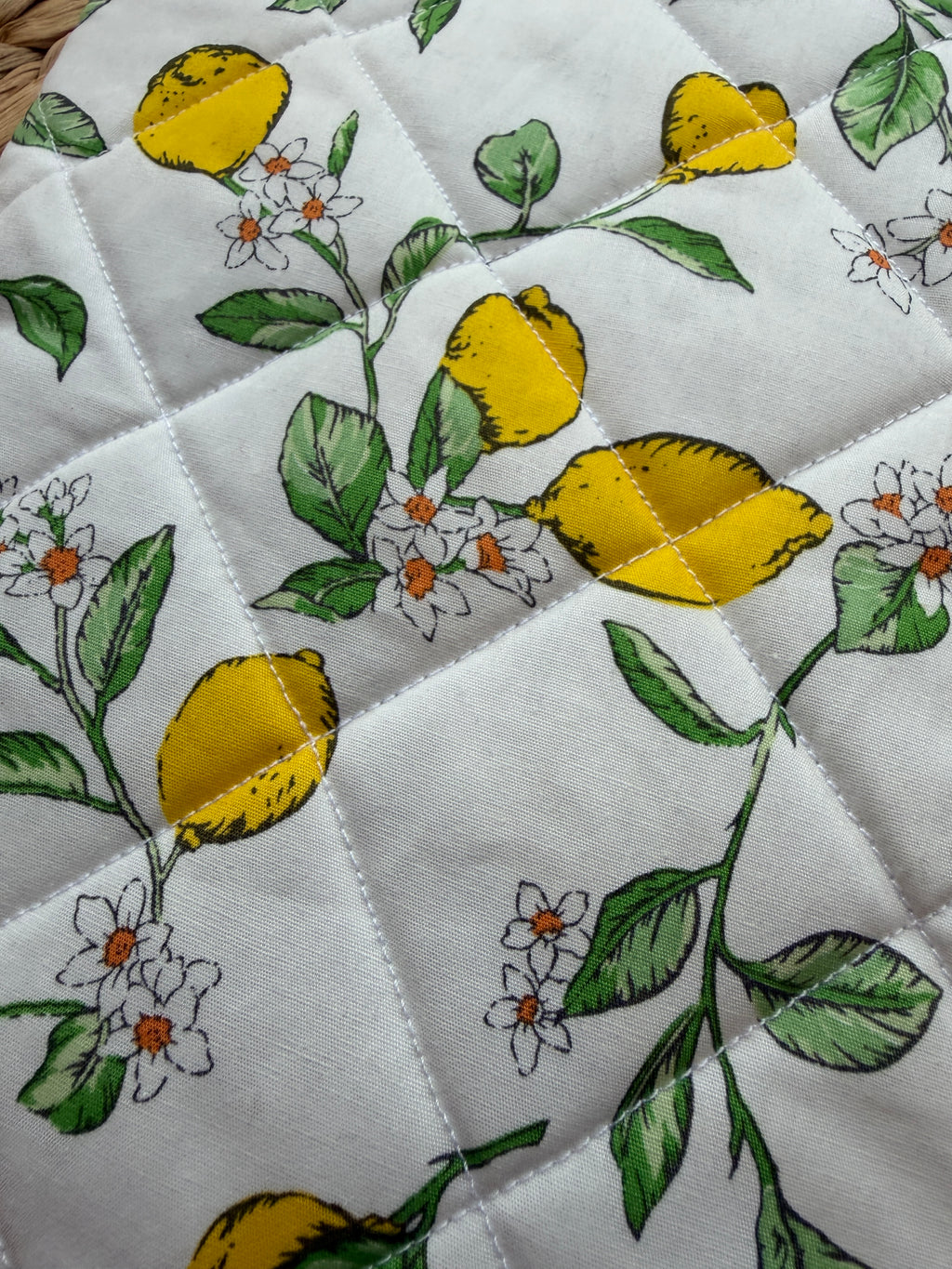 Lemon Grove Book/E-Reader Sleeve