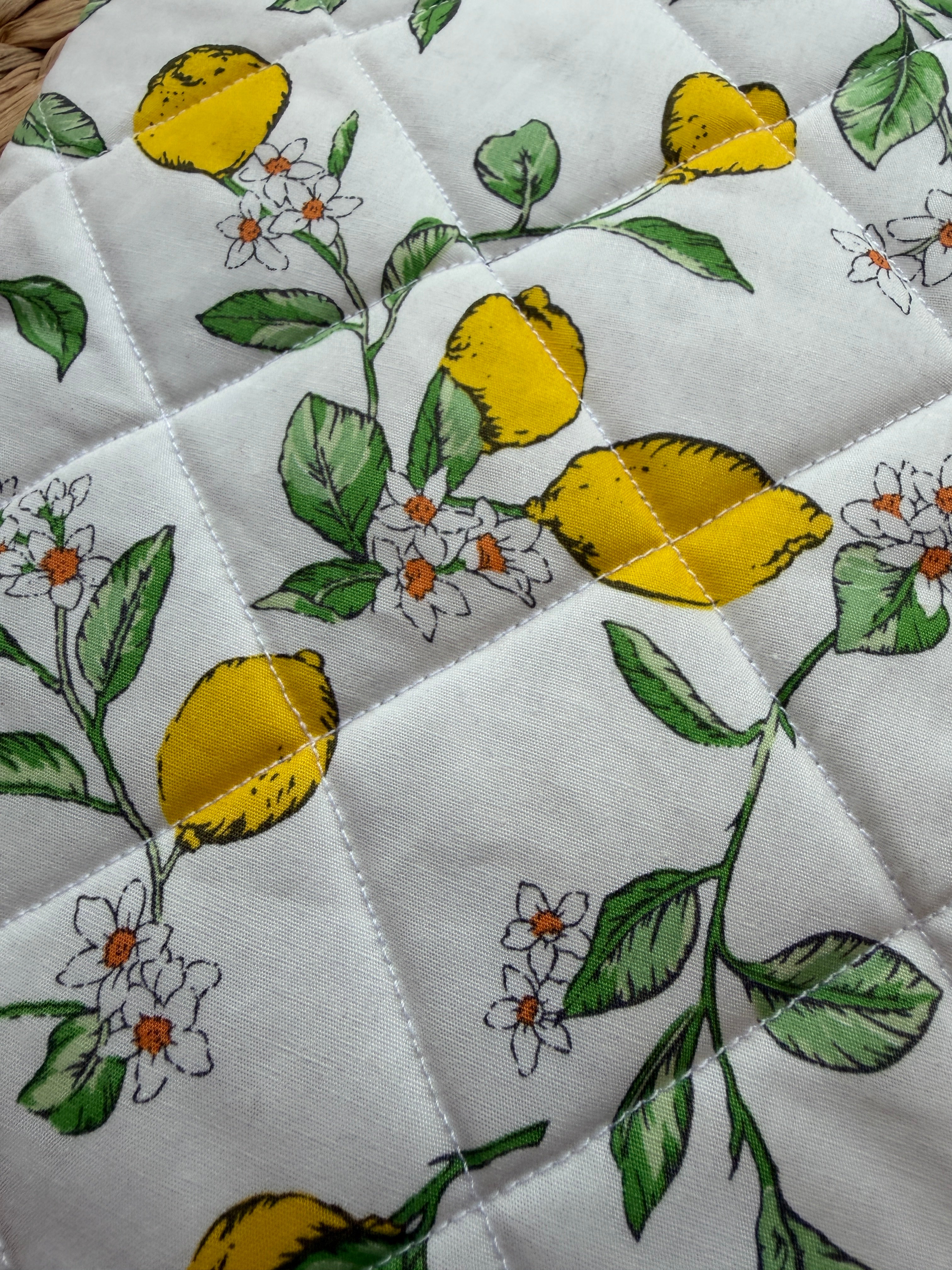 Lemon Grove Book/E-Reader Sleeve